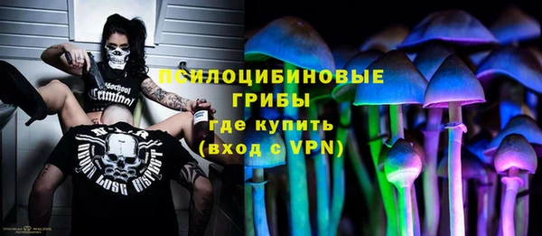 гидропоника Медвежьегорск