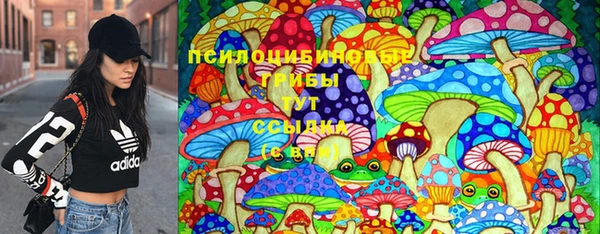 гидропоника Медвежьегорск