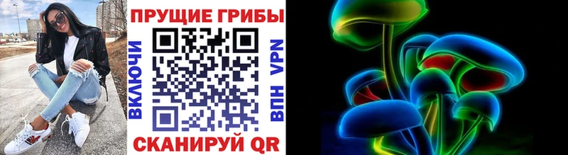 Галлюциногенные грибы мицелий Заозёрный